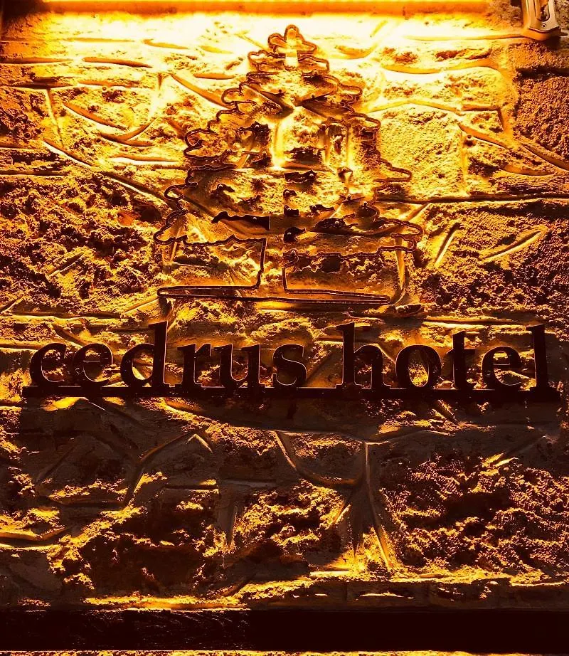 Cedrus Hotel Antalya