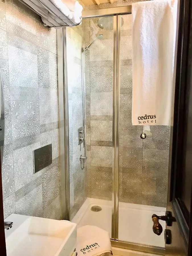 Cedrus Hotel Antalya 3*,